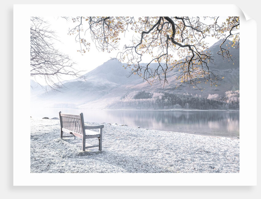 Bench by still lake by Assaf Frank